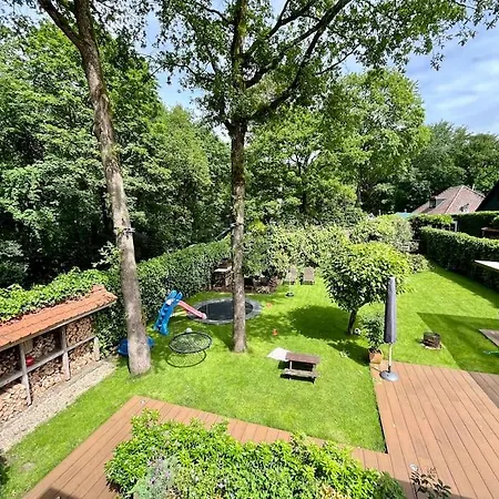 Modern Forest - Q4 24 Long Term Available * Naarden