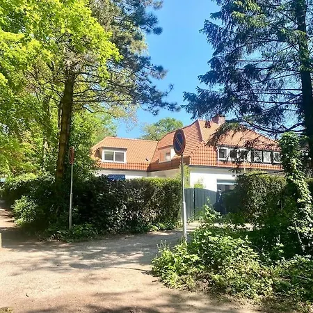 Modern Forest - Q4 24 Long Term Available * Naarden